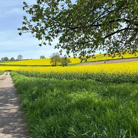 Sonne Hotel Sinsheim