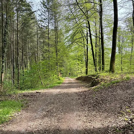 酒店 Sonne 辛斯海姆