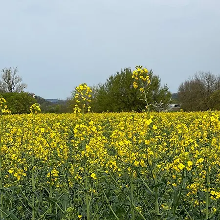 Sonne