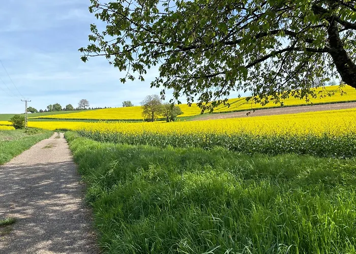 Sonne 酒店 辛斯海姆