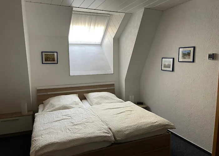 酒店 Sonne 辛斯海姆