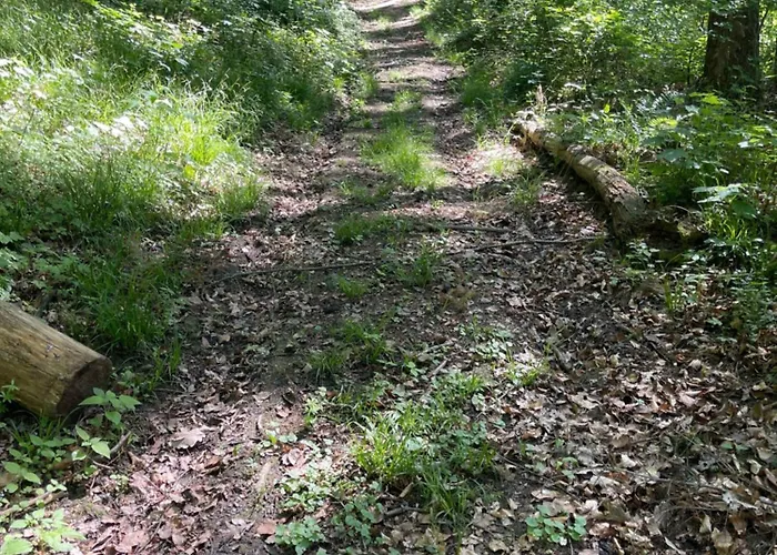 Sonne 2* 辛斯海姆