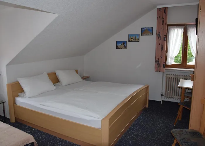 酒店 Sonne 辛斯海姆